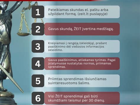 Schema: Melagingos informacijos pateikimo prevencijos procesas
