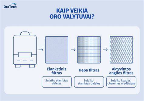 Infografika: Valytuvų tipai ir jų skirtumai