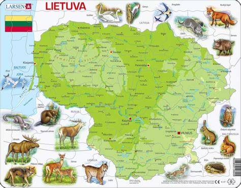 Geografinis paslaugų prieinamumo žemėlapis