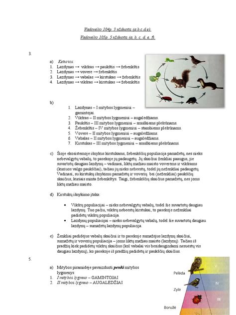 Svarbiausių aplinkosaugos politikos principų schema
