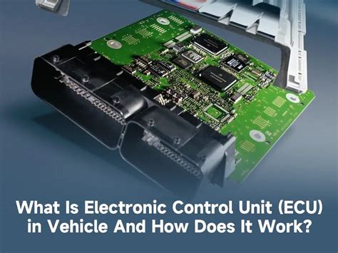 Schematinis ECU (Electronic Control Unit) paveikslėlis su laidų prijungimu