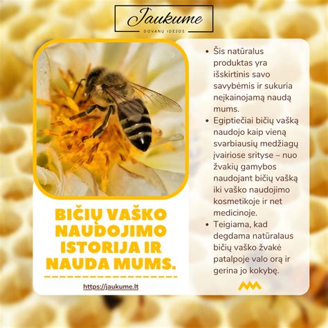 Infografika: vaško sluoksnio nauda automobiliui