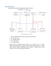 Stabdžių sistemos schema su paaiškinimais
