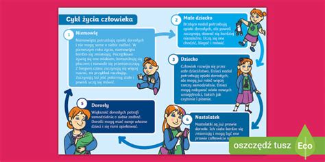 Infografika: žingsniai baudos mokėjimo atidėjimui