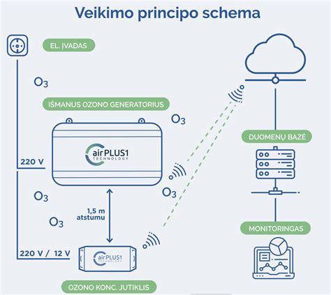 Slapukų veikimo principo infografika