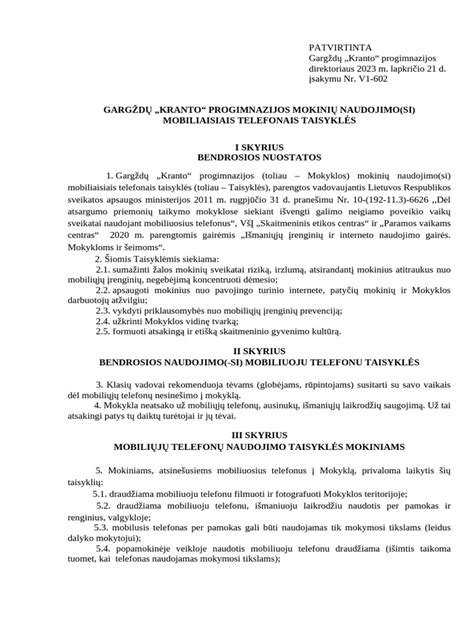 Infografika, iliustruojanti tarnybinio automobilio naudojimo taisykles ir atsakomybes