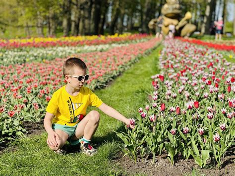 Šeimos pramogos lenktynių renginyje