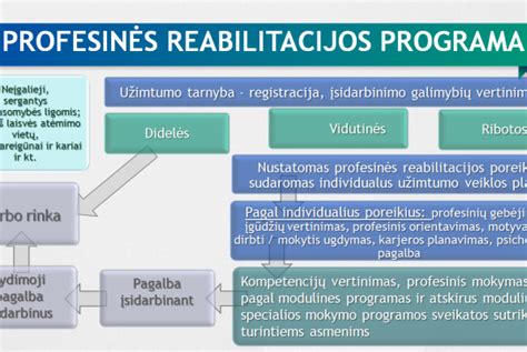 Profesinės reabilitacijos schemos pavyzdys