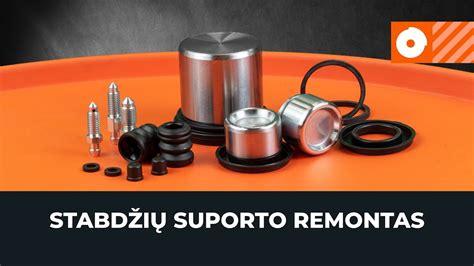 Schematinis stabdžių suporto remontas