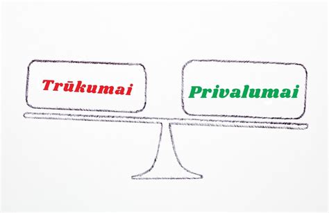Infografika: išmaniojo kištuko privalumai ir valdymas