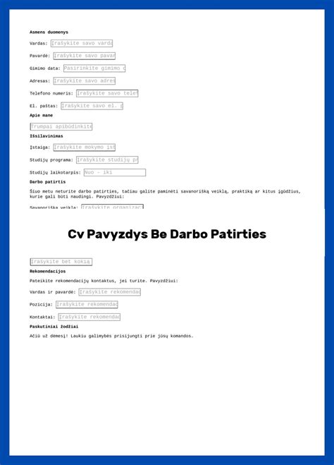 Mobiliojo parkavimo programėlės sąsajos pavyzdys