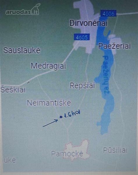 infografika: lygiagretaus parkavimo pradžios pozicija, du automobiliai vienas šalia kito