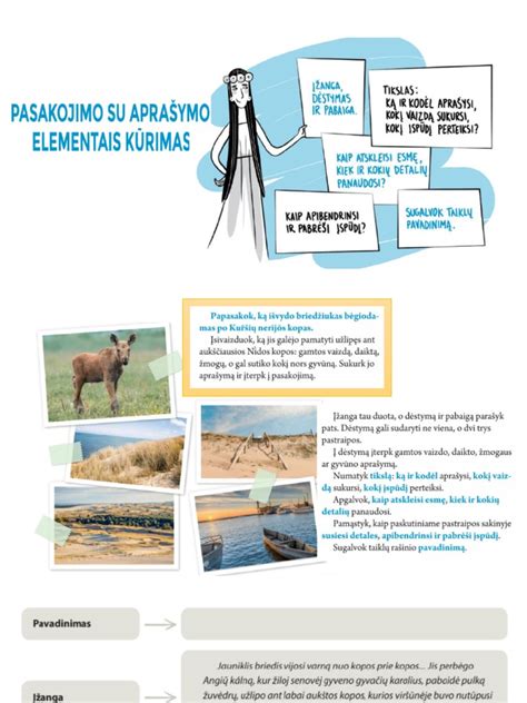 Amortizatoriaus pjūvio schema su pagrindiniais elementais