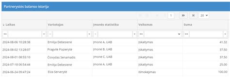Autodata programos sąsajos pavyzdys