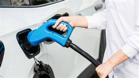 OFV 2024 automobilinių pardavimų struktūra: naudoti EV, dyzeliniai, benzininiai