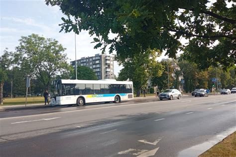 Teminė nuotrauka: autobusas ir vairuotojas prie jo