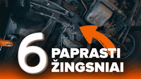 Kiaunė po automobilio variklio dangčiu