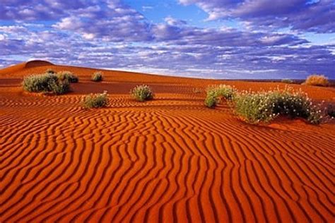 Tematinis foto kelių traukinio Australijos dykumoje