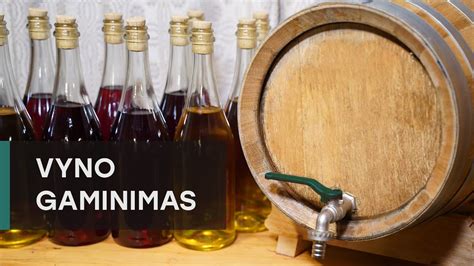 vyno vamzdžio amortizatoriaus pjūvio schema