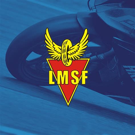 LMSF registracijos sistemos eiga