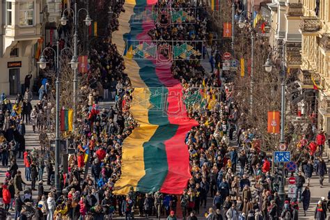 Teminė nuotrauka su Lietuvos šėmais galvijais, pabrėžiant jų pilkai melsvą ar peleninę spalvą