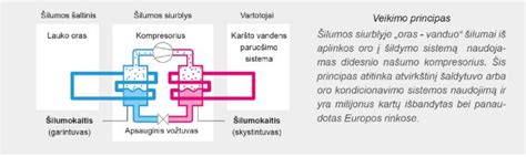 scheminis kompresinių kojinių veikimo principas