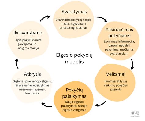 schema: veidrodėlio keitimo etapai