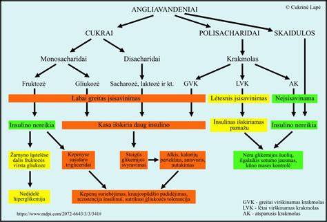 Infografinė schema: Originalių radijo rūšys, jų suderinamumas ir galimi pritaikymai