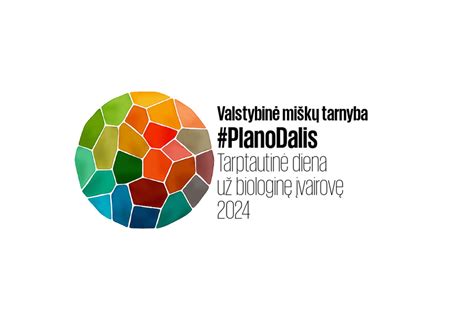 Lietinių ratlankių įvairovės iliustracija