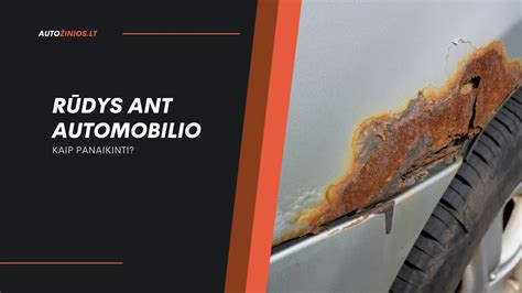 Teminis automobilio kėbulo nuotrauka, rodanti rūdis ir pažeidimus