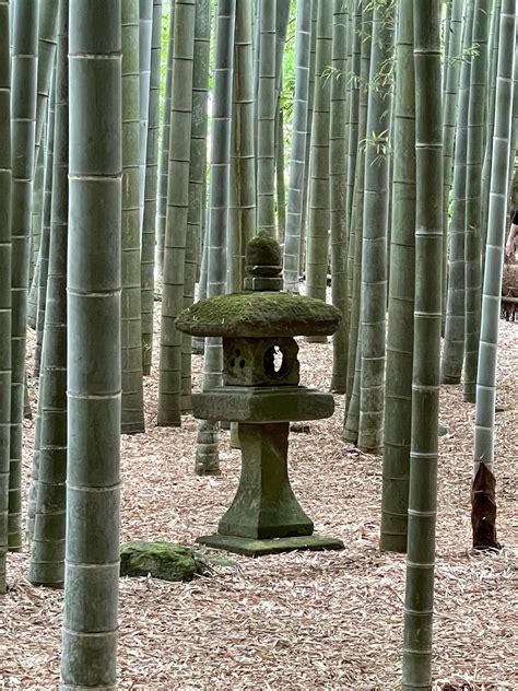 Istorinė tuk-tuko nuotrauka iš Japonijos