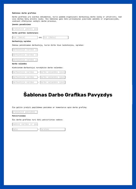 VIN ataskaitos pavyzdys (grafikas)