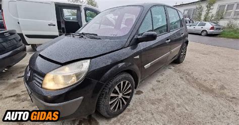 Teminė nuotrauka Renault Scenic (2004 m.)