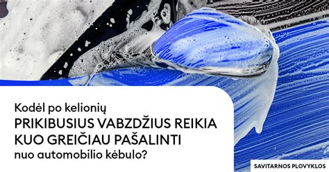 Schema, iliustruojanti galimus korozijos taškus ant automobilio kėbulo