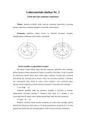 Palyginamoji dujų įrangos talpyklų schema (toroidinio ir cilindrinio tipo)