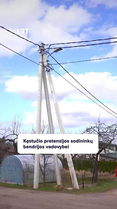 Sodininkų bendrijos „Vairas“ logotipas