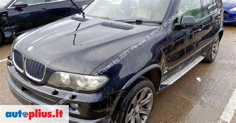 Puvimo pažeistos BMW X5 E53 kėbulo dalys