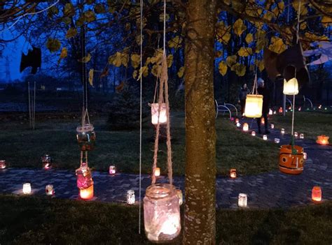 Šiaulių botanikos sodo žibintų šventės vaizdas su apšviestais augalais