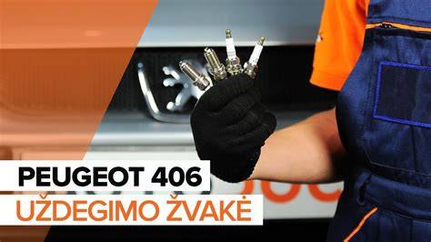 Infografika: Peugeot 406 sarnyro keitimo žingsniai