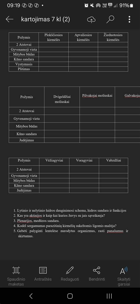 Schema: žibinto sandara su lęšiu ir reflektoriumi