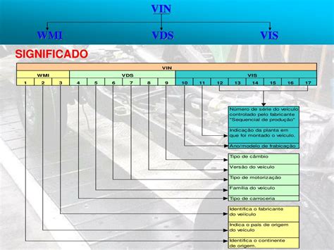 Schematinis VIN kodo sandaros pavaizdavimas su WMI, VDS ir VIS dalimis