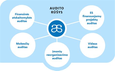 Infografika: audito rūšys ir jų apibrėžimai