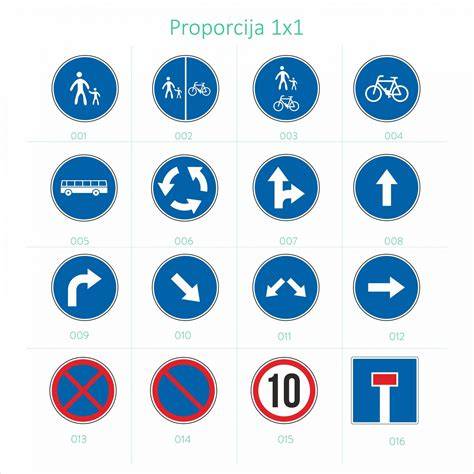 Infografika: Lietuvos kelių ženklai ir pagrindinių sąvokų santrauka
