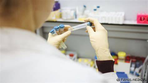 Testų palyginimas: patikimumas ir eksploatacija