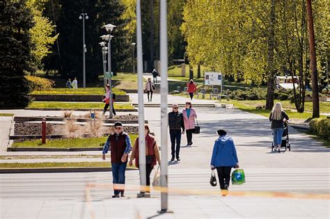 Tematinė nuotrauka: žmonės lanko autoelektrikos kursus