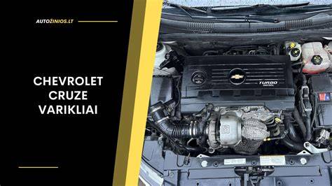 Infografika: Chevrolet Epica variklių įvairovė ir vienos pagrindinės versijos struktūra
