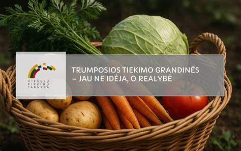 Schema: tiekimo grandinės sutrikimų poveikis