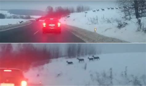Teminis vilkikas važiuojantis per snieguotą kalnų kelią Norvegijoje