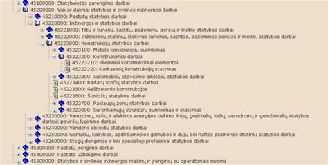 Svarbiausi BVPŽ kodai ir jų klasifikacija (infografika)