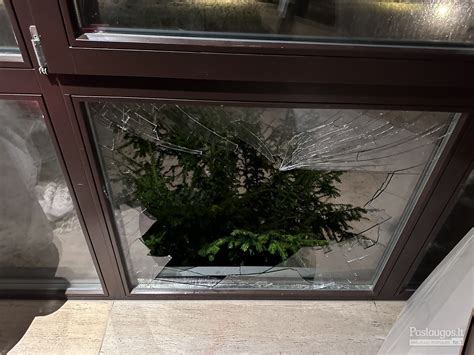 pavyzdys nekokybiško langų tamsinimo